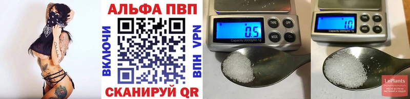 Альфа ПВП СК Бологое