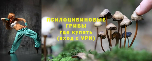 ALPHA-PVP Белокуриха