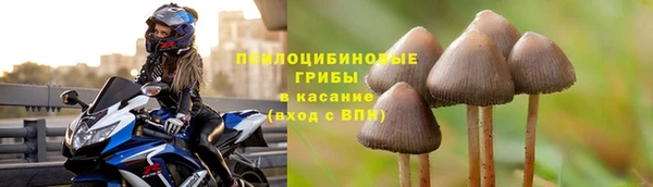 ALPHA-PVP Белокуриха
